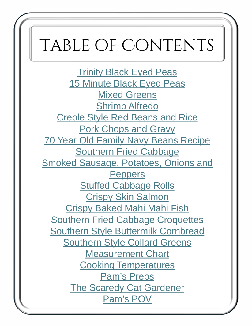 New Years Recipes And Tips eBook